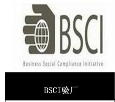 供應(yīng)東莞bsci驗廠咨詢產(chǎn)品大圖 oas企業(yè)管理認證咨詢機構(gòu)